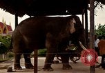Standbild vietnamesischen Einheimischen Nha Trang Vietnam, 1967, aus Sekunde 39 historischem Filmmaterial Videoclip 65675033661