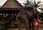 Standbild vietnamesischen Einheimischen Nha Trang Vietnam, 1967, aus Sekunde 40 historischem Filmmaterial Videoclip 65675033661
