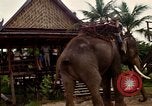 Standbild vietnamesischen Einheimischen Nha Trang Vietnam, 1967, aus Sekunde 41 historischem Filmmaterial Videoclip 65675033661