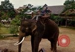 Standbild vietnamesischen Einheimischen Nha Trang Vietnam, 1967, aus Sekunde 43 historischem Filmmaterial Videoclip 65675033661