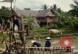 Standbild vietnamesischen Einheimischen Nha Trang Vietnam, 1967, aus Sekunde 51 historischem Filmmaterial Videoclip 65675033661