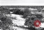 Immagine di Vegetazione Isole Galapagos, 1943, secondo 7 filmato di repertorio 65675033674