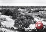 Immagine di Vegetazione Isole Galapagos, 1943, secondo 10 filmato di repertorio 65675033674