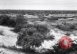 Immagine di Vegetazione Isole Galapagos, 1943, secondo 11 filmato di repertorio 65675033674