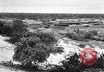 Immagine di Vegetazione Isole Galapagos, 1943, secondo 12 filmato di repertorio 65675033674