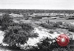 Immagine di Vegetazione Isole Galapagos, 1943, secondo 13 filmato di repertorio 65675033674