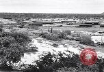Immagine di Vegetazione Isole Galapagos, 1943, secondo 14 filmato di repertorio 65675033674