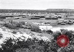 Immagine di Vegetazione Isole Galapagos, 1943, secondo 18 filmato di repertorio 65675033674