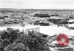 Immagine di Vegetazione Isole Galapagos, 1943, secondo 25 filmato di repertorio 65675033674
