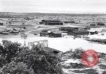 Immagine di Vegetazione Isole Galapagos, 1943, secondo 26 filmato di repertorio 65675033674