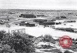 Immagine di Vegetazione Isole Galapagos, 1943, secondo 27 filmato di repertorio 65675033674