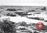 Immagine di Vegetazione Isole Galapagos, 1943, secondo 28 filmato di repertorio 65675033674