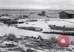Immagine di Vegetazione Isole Galapagos, 1943, secondo 31 filmato di repertorio 65675033674