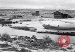 Immagine di Vegetazione Isole Galapagos, 1943, secondo 32 filmato di repertorio 65675033674