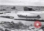 Immagine di Vegetazione Isole Galapagos, 1943, secondo 34 filmato di repertorio 65675033674