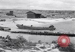 Immagine di Vegetazione Isole Galapagos, 1943, secondo 36 filmato di repertorio 65675033674