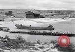 Immagine di Vegetazione Isole Galapagos, 1943, secondo 39 filmato di repertorio 65675033674