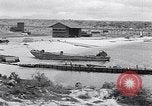 Immagine di Vegetazione Isole Galapagos, 1943, secondo 40 filmato di repertorio 65675033674