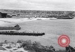 Immagine di Vegetazione Isole Galapagos, 1943, secondo 45 filmato di repertorio 65675033674