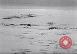 Standbild special Marine Mission Clipperton Insel, 1943, aus Sekunde 26 historischem Filmmaterial Videoclip 65675033676