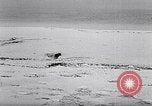 Standbild special Marine Mission Clipperton Insel, 1943, aus Sekunde 27 historischem Filmmaterial Videoclip 65675033676