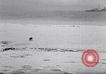 Standbild special Marine Mission Clipperton Insel, 1943, aus Sekunde 28 historischem Filmmaterial Videoclip 65675033676