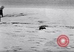 Standbild special Marine Mission Clipperton Insel, 1943, aus Sekunde 34 historischem Filmmaterial Videoclip 65675033676