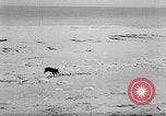 Standbild special Marine Mission Clipperton Insel, 1943, aus Sekunde 38 historischem Filmmaterial Videoclip 65675033676