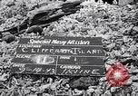 Standbild diverse Vögel Clipperton Insel, 1943, aus Sekunde 3 historischem Filmmaterial Videoclip 65675033678