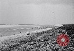 Standbild diverse Vögel Clipperton Insel, 1943, aus Sekunde 6 historischem Filmmaterial Videoclip 65675033678