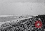 Standbild diverse Vögel Clipperton Insel, 1943, aus Sekunde 7 historischem Filmmaterial Videoclip 65675033678