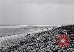 Standbild diverse Vögel Clipperton Insel, 1943, aus Sekunde 11 historischem Filmmaterial Videoclip 65675033678