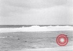 Standbild diverse Vögel Clipperton Insel, 1943, aus Sekunde 14 historischem Filmmaterial Videoclip 65675033678