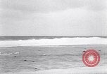 Standbild diverse Vögel Clipperton Insel, 1943, aus Sekunde 15 historischem Filmmaterial Videoclip 65675033678