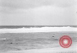 Standbild diverse Vögel Clipperton Insel, 1943, aus Sekunde 16 historischem Filmmaterial Videoclip 65675033678