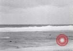 Standbild diverse Vögel Clipperton Insel, 1943, aus Sekunde 17 historischem Filmmaterial Videoclip 65675033678