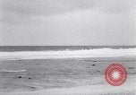 Standbild diverse Vögel Clipperton Insel, 1943, aus Sekunde 18 historischem Filmmaterial Videoclip 65675033678