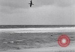 Standbild diverse Vögel Clipperton Insel, 1943, aus Sekunde 21 historischem Filmmaterial Videoclip 65675033678