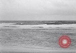 Standbild diverse Vögel Clipperton Insel, 1943, aus Sekunde 24 historischem Filmmaterial Videoclip 65675033678