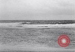 Standbild diverse Vögel Clipperton Insel, 1943, aus Sekunde 25 historischem Filmmaterial Videoclip 65675033678