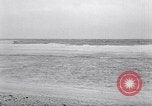 Standbild diverse Vögel Clipperton Insel, 1943, aus Sekunde 29 historischem Filmmaterial Videoclip 65675033678