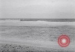 Standbild diverse Vögel Clipperton Insel, 1943, aus Sekunde 30 historischem Filmmaterial Videoclip 65675033678