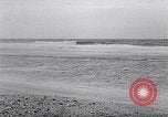 Standbild diverse Vögel Clipperton Insel, 1943, aus Sekunde 31 historischem Filmmaterial Videoclip 65675033678