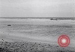 Standbild diverse Vögel Clipperton Insel, 1943, aus Sekunde 32 historischem Filmmaterial Videoclip 65675033678
