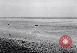Standbild diverse Vögel Clipperton Insel, 1943, aus Sekunde 34 historischem Filmmaterial Videoclip 65675033678