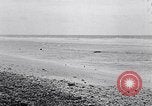 Standbild diverse Vögel Clipperton Insel, 1943, aus Sekunde 35 historischem Filmmaterial Videoclip 65675033678