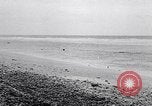 Standbild diverse Vögel Clipperton Insel, 1943, aus Sekunde 36 historischem Filmmaterial Videoclip 65675033678