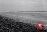 Standbild diverse Vögel Clipperton Insel, 1943, aus Sekunde 38 historischem Filmmaterial Videoclip 65675033678