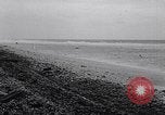 Standbild diverse Vögel Clipperton Insel, 1943, aus Sekunde 39 historischem Filmmaterial Videoclip 65675033678