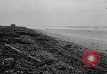 Standbild diverse Vögel Clipperton Insel, 1943, aus Sekunde 43 historischem Filmmaterial Videoclip 65675033678